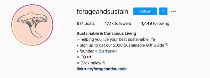 пример профиля Instagram от @forageandsustain с призывом щелкнуть ссылку биографии, чтобы узнать больше